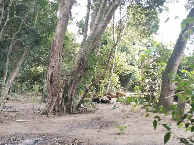 #2148 - CHÁCARAS ACIMA DE 2 HECTARES para Venda em Viamão - RS - 1
