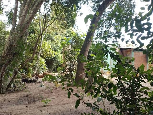 #2148 - CHÁCARAS ACIMA DE 2 HECTARES para Venda em Viamão - RS - 2