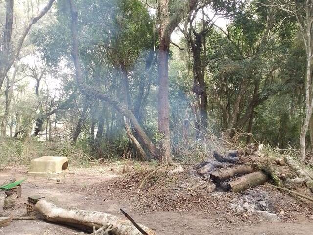 #2148 - CHÁCARAS ACIMA DE 2 HECTARES para Venda em Viamão - RS - 3
