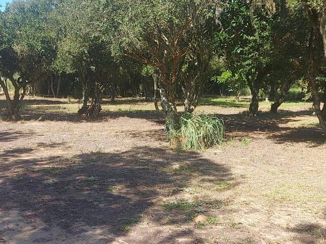 #2151 - SÍTIOS DE 5.000M² ATÉ 2 HECTARES para Venda em Viamão - RS - 3