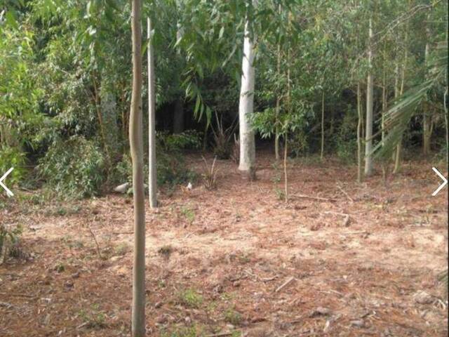 #2163 - SÍTIOS DE 5.000M² ATÉ 2 HECTARES para Venda em Viamão - RS - 3