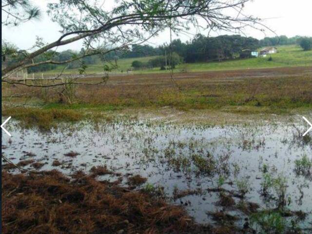 #2163 - SÍTIOS DE 5.000M² ATÉ 2 HECTARES para Venda em Viamão - RS - 1