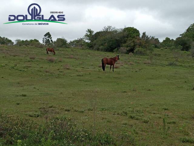 #2174 - CHÁCARAS ACIMA DE 2 HECTARES para Venda em Viamão - RS - 1