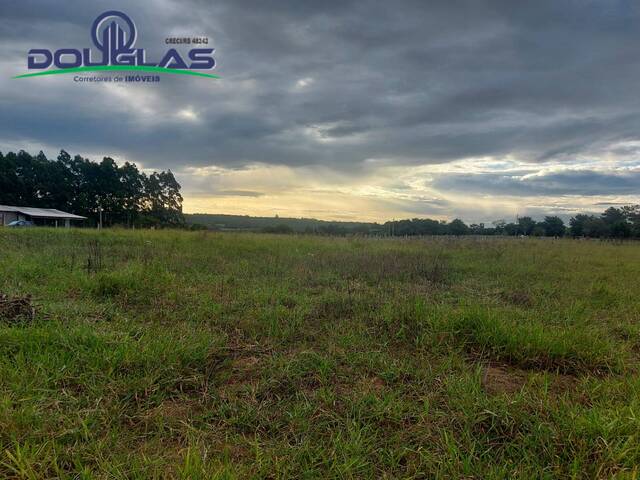 #2175 - CHÁCARAS ACIMA DE 2 HECTARES para Venda em Viamão - RS - 1