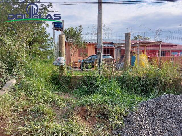  para  em  - 3