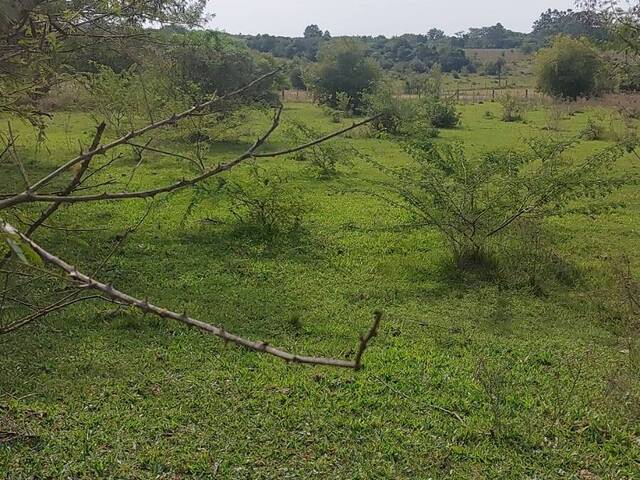 #2205 - SÍTIOS DE 5.000M² ATÉ 2 HECTARES para Venda em Viamão - RS - 3