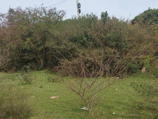 #2206 - CHÁCARAS ACIMA DE 2 HECTARES para Venda em Viamão - RS - 1