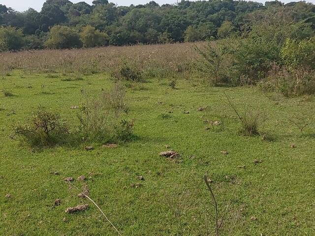 #2206 - CHÁCARAS ACIMA DE 2 HECTARES para Venda em Viamão - RS - 2