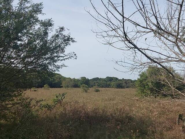 #2206 - CHÁCARAS ACIMA DE 2 HECTARES para Venda em Viamão - RS - 3