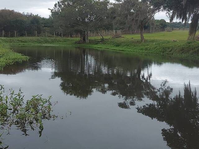 #2210 - CHÁCARAS ACIMA DE 2 HECTARES para Venda em Viamão - RS - 2