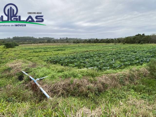 #2245 - CHÁCARAS ACIMA DE 2 HECTARES para Venda em Viamão - RS - 3