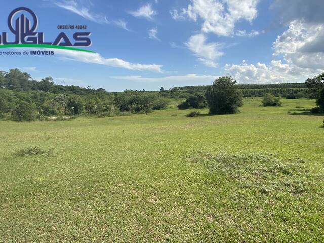 #2352 - CHÁCARAS ACIMA DE 2 HECTARES para Venda em Viamão - RS