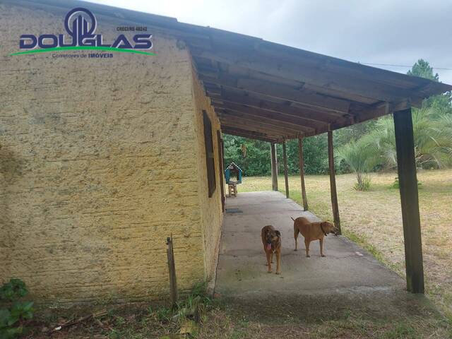 #2373 - CASAS FORA DE CONDOMÍNIO para Venda em Viamão - RS - 1
