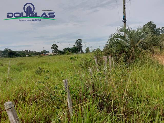 #2389 - CHÁCARAS ACIMA DE 2 HECTARES para Venda em Viamão - RS - 2