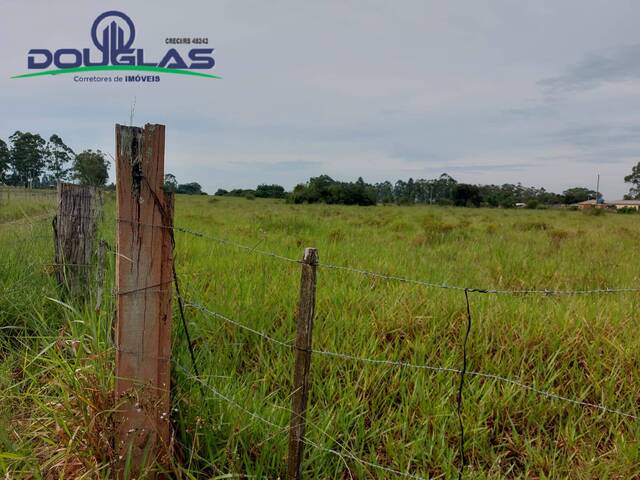 #2389 - CHÁCARAS ACIMA DE 2 HECTARES para Venda em Viamão - RS - 3