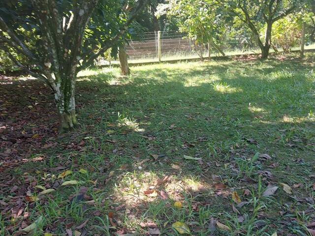 IMÓVEIS COMERCIAIS para Venda em Viamão - 4