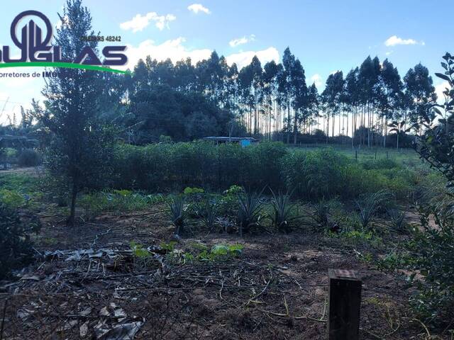 #2403 - CHÁCARAS ACIMA DE 2 HECTARES para Venda em Viamão - RS - 1