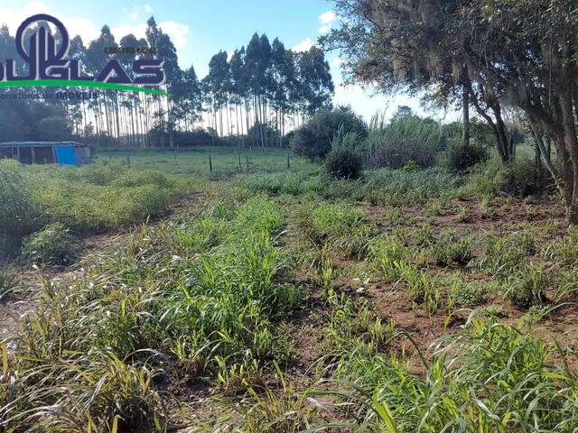 #2403 - CHÁCARAS ACIMA DE 2 HECTARES para Venda em Viamão - RS - 3