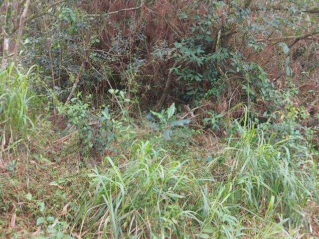 TERRENOS EM CONDOMÍNIO FECHADO para Venda em Viamão - 5