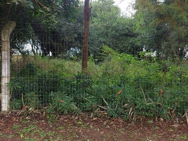 #2476 - TERRENOS EM CONDOMÍNIO FECHADO para Venda em Viamão - RS - 1