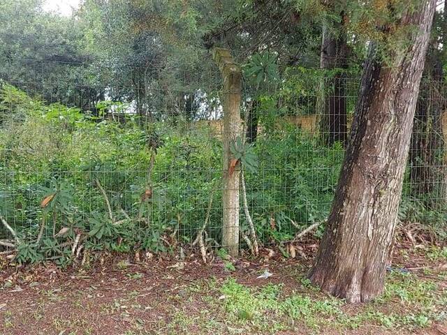 #2476 - TERRENOS EM CONDOMÍNIO FECHADO para Venda em Viamão - RS - 2