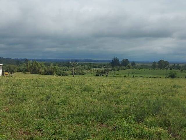 #2481 - CHÁCARAS ACIMA DE 2 HECTARES para Venda em Viamão - RS