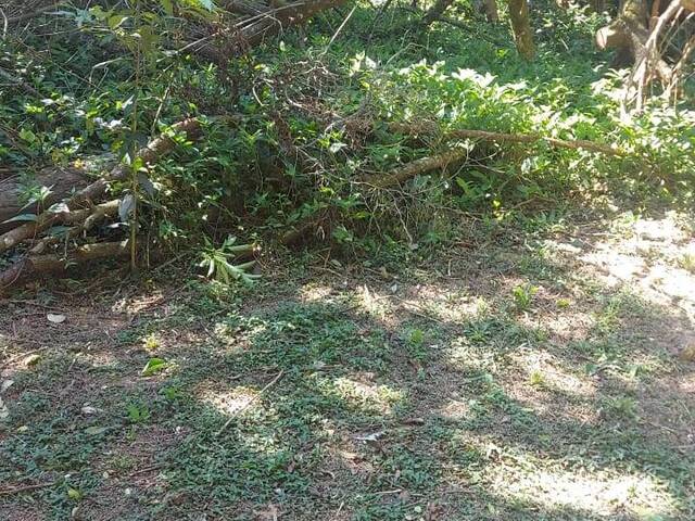 #2495 - TERRENOS EM CONDOMÍNIO FECHADO para Venda em Viamão - RS - 1