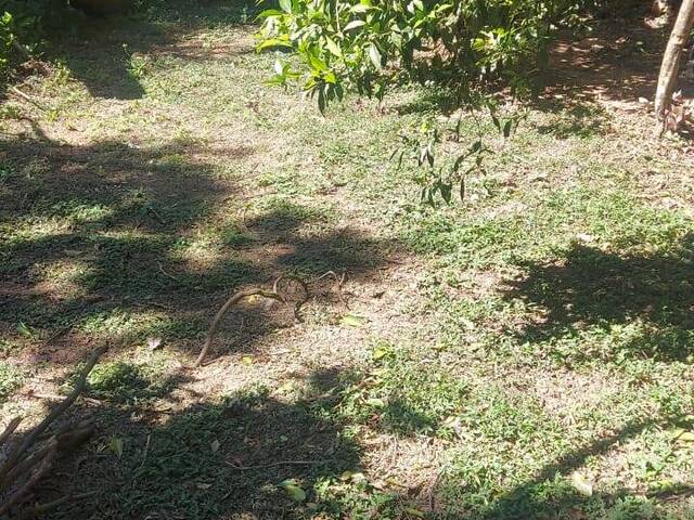 #2495 - TERRENOS EM CONDOMÍNIO FECHADO para Venda em Viamão - RS - 2