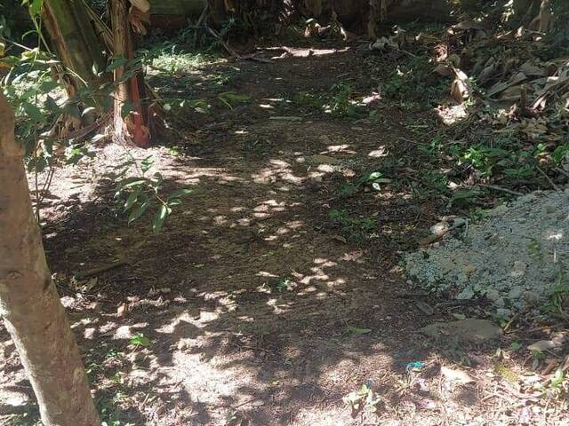 #2495 - TERRENOS EM CONDOMÍNIO FECHADO para Venda em Viamão - RS - 3