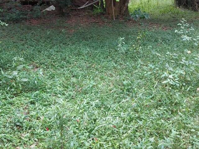 TERRENOS EM CONDOMÍNIO FECHADO para Venda em Viamão - 5