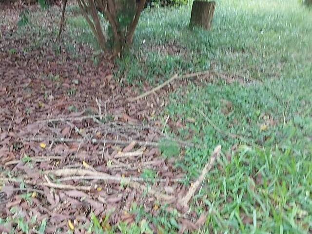 CASAS EM CONDOMÍNIO FECHADO para Venda em Viamão - 4