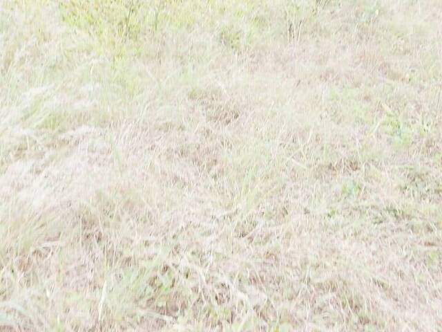 TERRENOS EM CONDOMÍNIO FECHADO para Venda em Viamão - 4