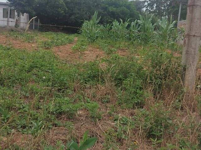 #2530 - TERRENOS EM CONDOMÍNIO FECHADO para Venda em Viamão - RS - 2