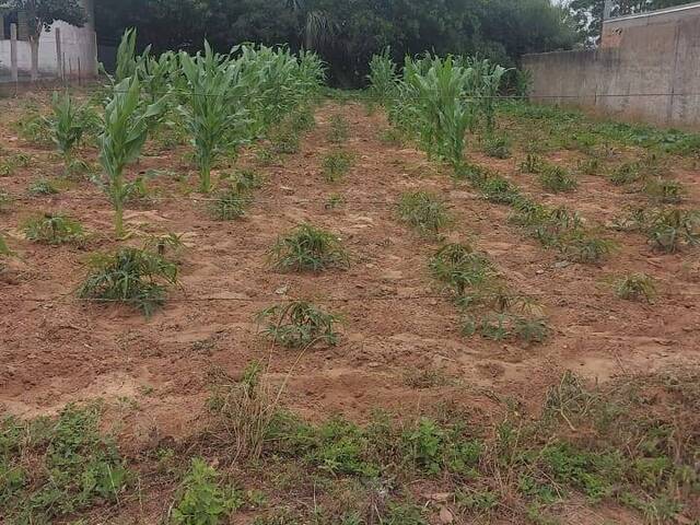 #2530 - TERRENOS EM CONDOMÍNIO FECHADO para Venda em Viamão - RS - 3
