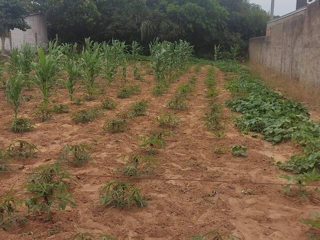TERRENOS EM CONDOMÍNIO FECHADO para Venda em Viamão - 5