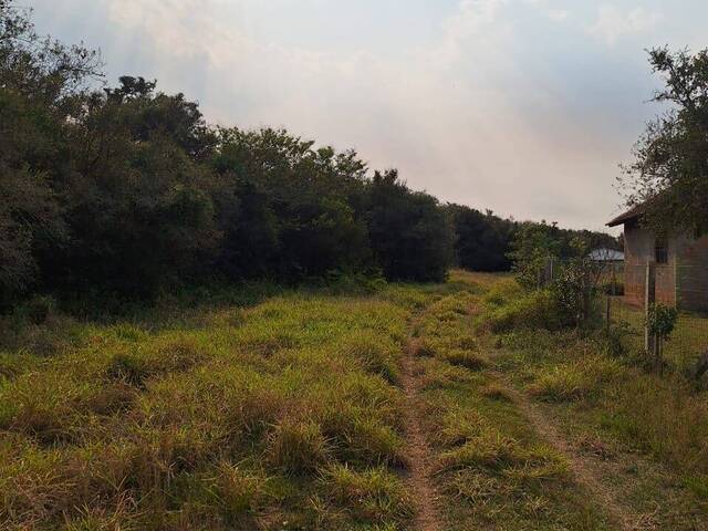 #2560 - SÍTIOS DE 5.000M² ATÉ 2 HECTARES para Venda em Viamão - RS - 3