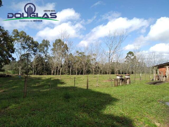 #2592 - CHÁCARAS ACIMA DE 2 HECTARES para Venda em Viamão - RS - 2