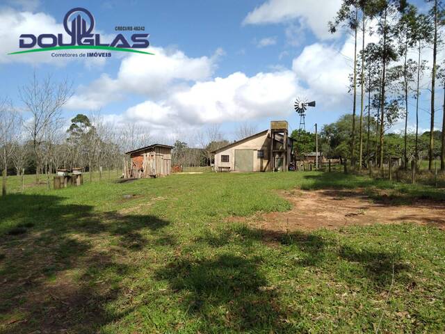 #2592 - CHÁCARAS ACIMA DE 2 HECTARES para Venda em Viamão - RS - 3