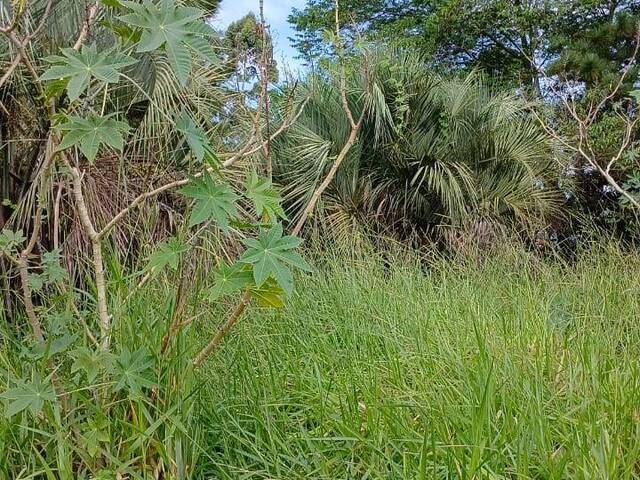 #2606 - TERRENOS EM CONDOMÍNIO FECHADO para Venda em Viamão - RS - 3