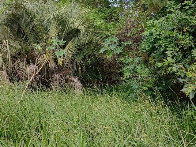 TERRENOS EM CONDOMÍNIO FECHADO para Venda em Viamão - 5