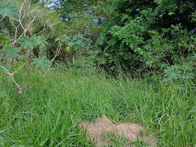 TERRENOS EM CONDOMÍNIO FECHADO para Venda em Viamão - 4