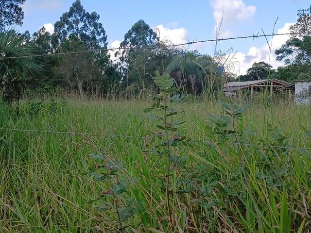#2619 - TERRENOS FORA DE CONDOMÍNIO para Venda em Viamão - RS - 1