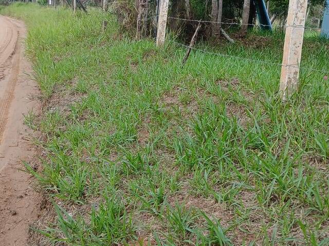Venda em Águas Claras - Viamão
