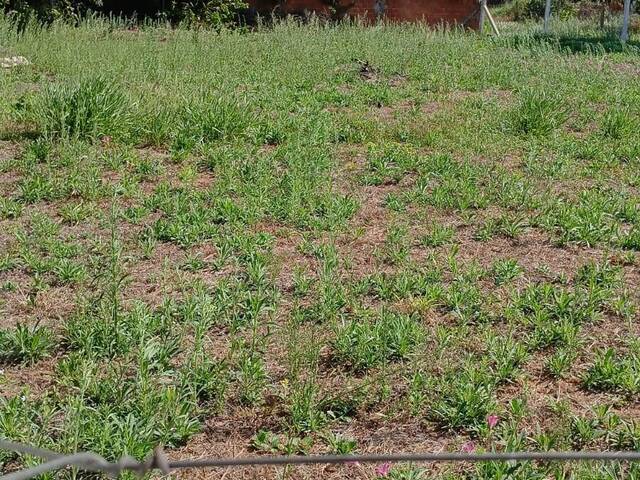 #2624 - TERRENOS EM CONDOMÍNIO FECHADO para Venda em Viamão - RS - 3