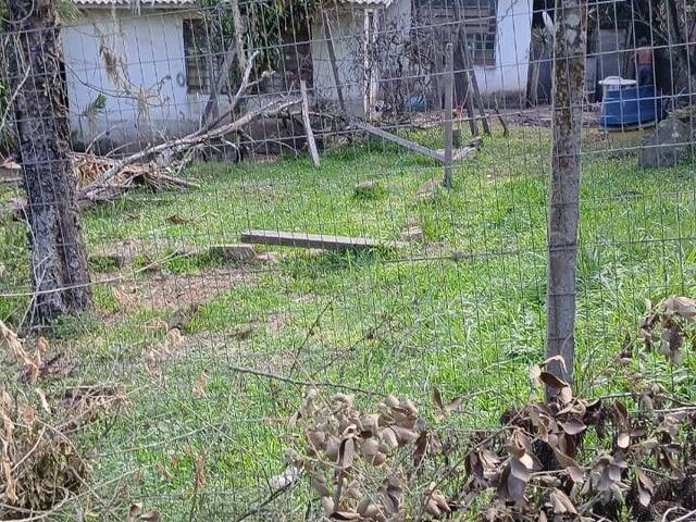 #2626 - CHÁCARAS ACIMA DE 2 HECTARES para Venda em Viamão - RS - 3