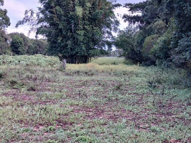 #2665 - CHÁCARAS ACIMA DE 2 HECTARES para Venda em Viamão - RS - 3