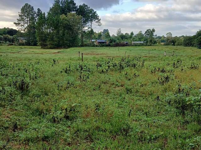 #2665 - CHÁCARAS ACIMA DE 2 HECTARES para Venda em Viamão - RS - 2