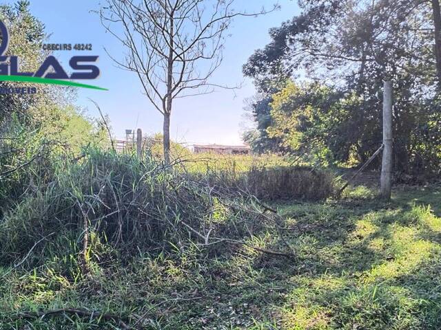 #2675 - SÍTIOS DE 5.000M² ATÉ 2 HECTARES para Venda em Viamão - RS - 2
