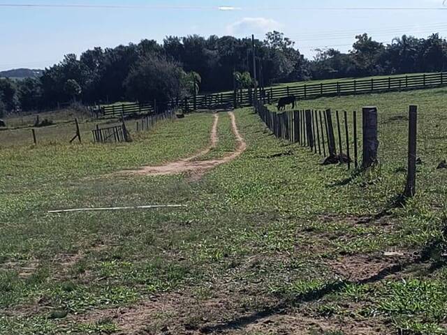 #2675 - SÍTIOS DE 5.000M² ATÉ 2 HECTARES para Venda em Viamão - RS - 3