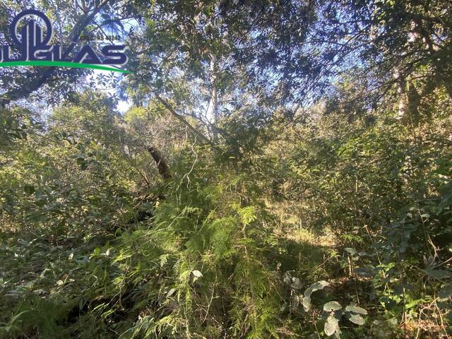 TERRENOS FORA DE CONDOMÍNIO para Venda em Viamão - 3